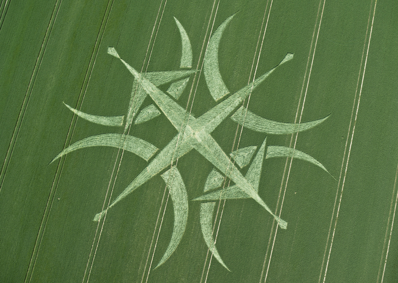 Crop circle research paper