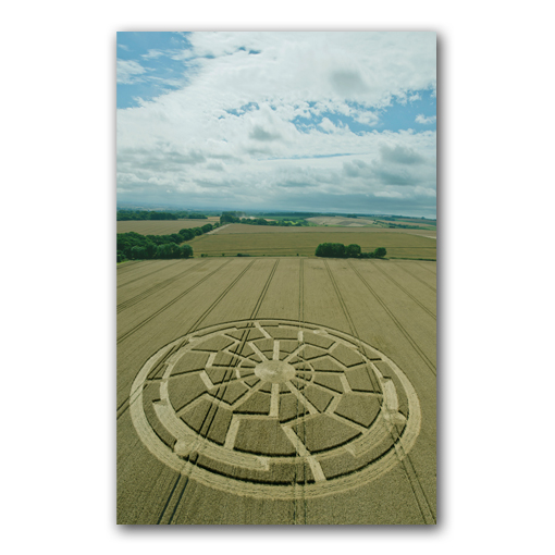 Crop circles research paper