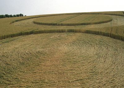 Wilsford, Wiltshire | 15th July 1994 | Wheat P 35mm Neg Scan