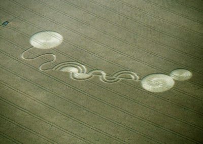 Hazeley Down, Hampshire | 27th July 1994 | Wheat 35mm Neg Scan