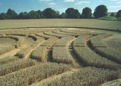 Avebury Henge, Wiltshire | 10th August 1994 | Wheat P2 35mm Neg Scan