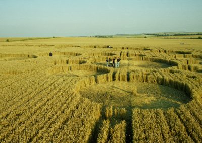Windmill Hill, Wiltshire | 29th July 1996 | Wheat P2 35mm Neg Scan