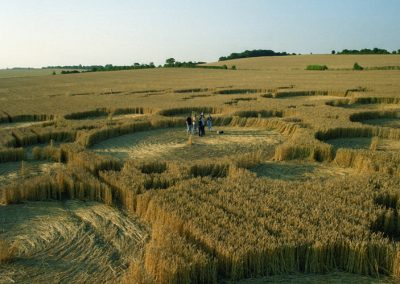 Windmill Hill, Wiltshire | 29th July 1996 | Wheat P4 35mm Neg Scan