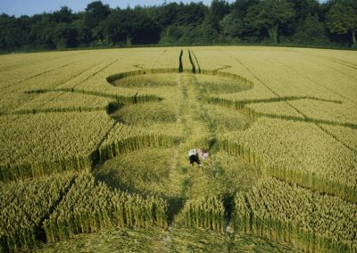 Henwood, Hampshire | 14th July 1997 | Wheat P 35mm