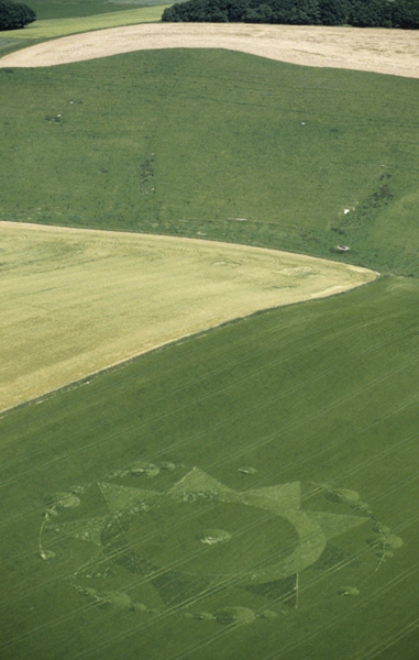 Aldbourne, Wiltshire | 20th June 1999 | Barley L 35mm