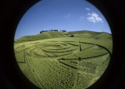 Cherhill, Wiltshire | 18th July 1999 | Wheat PFE 35mm