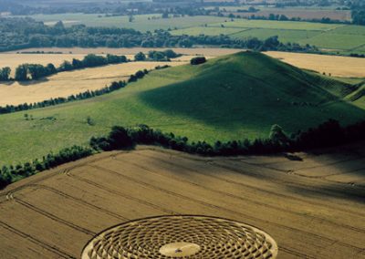 Picked Hill, Wiltshire | 13th August 2000 | Wheat MFYB