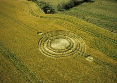 Windmill Hill, Wiltshire | 19th June 2003 | Wheat L 35mm