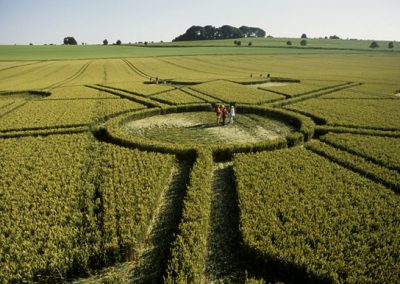 Beckhampton, Wiltshire | 13th July 2003 | Wheat P2 35mm
