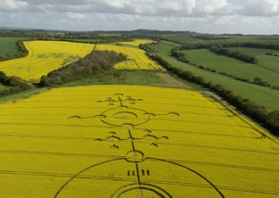 Clatford, Wiltshire | 4th May 2009 | Oilseed Rape L