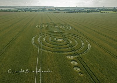 Windmill Hill Avebury, Wiltshire | 13th July 2011 | Wheat L2
