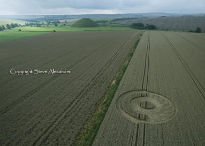 Silbury Hill, Wiltshire | 2nd August 2011 | Wheat L2