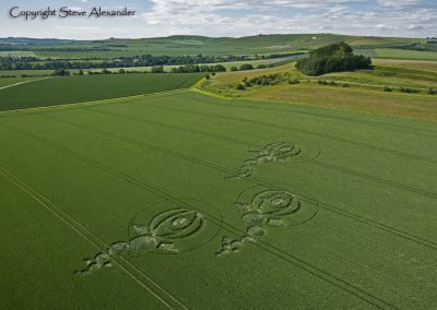 Woodborough Hill, Wiltshire | 9th June 2012 | Wheat L2