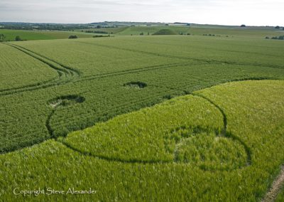 Silbury Hill, Wiltshire | 13th June 2012 | Wheat and Barley L