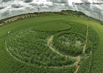 Frome, Somerset | 17th June 2012 | Wheat P
