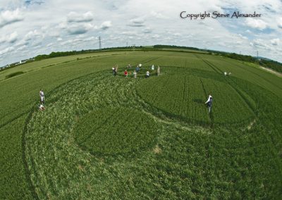 Frome, Somerset | 17th June 2012 | Wheat P3