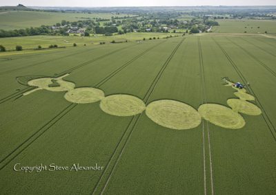 Adams Grave near Alton Barnes, Wiltshire | 25th June 2012 | Wheat CUT2