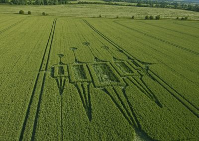 Stanton St Bernard, Wiltshire | 29th June 2012 | Wheat L2