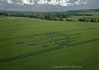 Stanton St Bernard, Wiltshire | 29th June 2012 | Wheat L