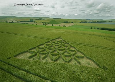 Waden Hill near Avebury, Wiltshire | 1st July 2012 | Wheat L4