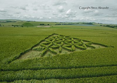 Waden Hill near Avebury, Wiltshire | 1st July 2012 | Wheat L5