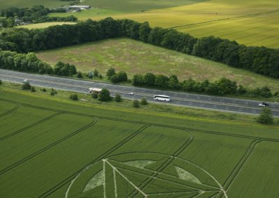 Wanborough Plain near Liddington, Wiltshire | 1st July 2012 | Wheat L