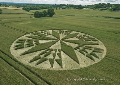 Corley near Coventry, Warwickshire | 11th July 2012 | Wheat L3
