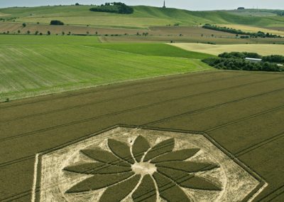 Yatesbury, Wiltshire | 17th July 2012 | Wheat Man Made Project 