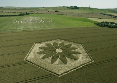 Yatesbury, Wiltshire | 17th July 2012 | Wheat Man Made Project 2