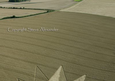 Longwood Warren near Winchester, Hampshire | 23rd July 2012 | Wheat L
