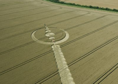 Windmill Hill, Wiltshire | 25th July 2012 | Wheat L3