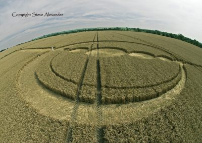 Windmill Hill, Wiltshire | 25th July 2012 | Wheat P3