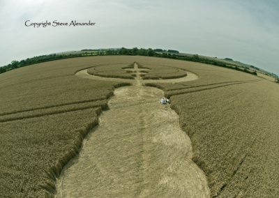 Windmill Hill, Wiltshire | 25th July 2012 | Wheat P5