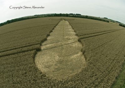 Windmill Hill, Wiltshire | 25th July 2012 | Wheat P6