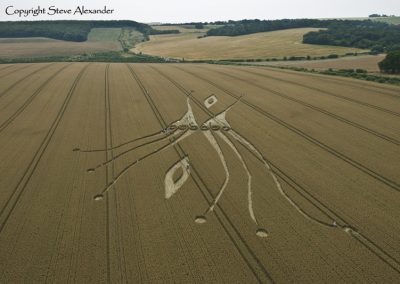 East Kennett, Wiltshire | 26th July 2012 | Wheat L2