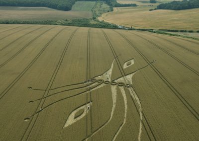 East Kennett, Wiltshire | 26th July 2012 | Wheat L