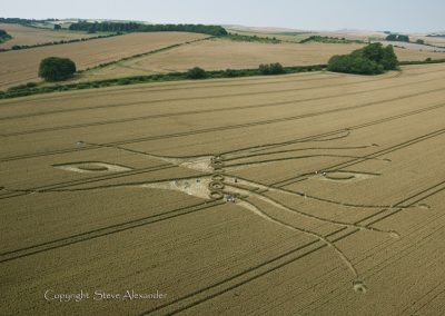East Kennett, Wiltshire | 26th July 2012 | Wheat L5