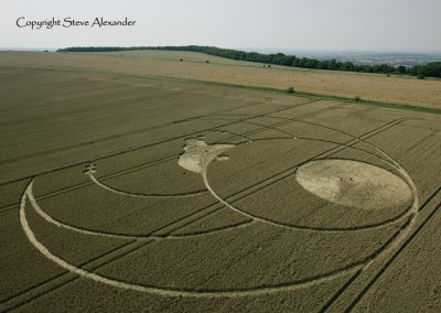 Olivers Castle, Wiltshire | 26th July 2012 | Wheat L5