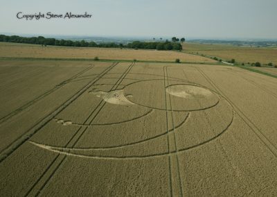 Olivers Castle, Wiltshire | 26th July 2012 | Wheat L3