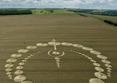 Etchilhampton, Wiltshire | 28th July 2012 | Wheat L2