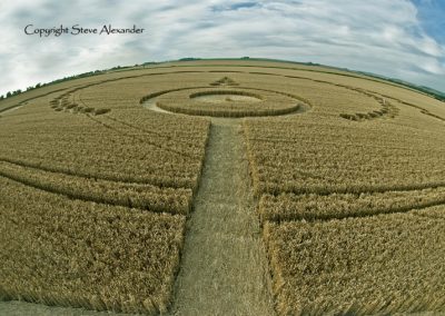 Etchilhampton, Wiltshire | 28th July 2012 | Wheat P