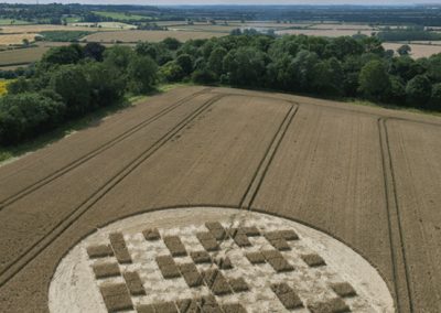 Jubilee Copse near Hannington, Wiltshire | 28th July 2012 | Wheat OH2