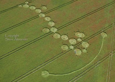 Ogbourne Down, Wiltshire | 29th July 2012 | Linseed OH