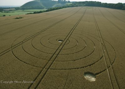 Wootton Rivers, Wiltshire | 2nd August 2012 | Wheat L2