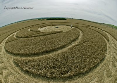 Milk Hill near Stanton St Bernard, Wiltshire | 5th August 2012 | Wheat P