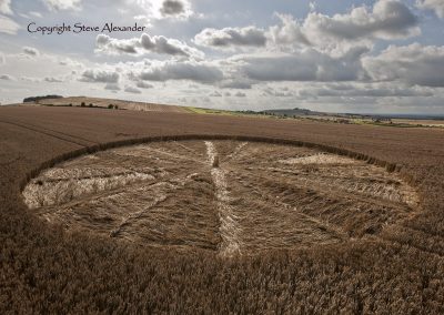 Bishops Cannings near Devizes, Wiltshire | 11th August 2012 | Wheat LOW