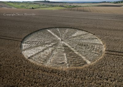 Bishops Cannings near Devizes, Wiltshire | 11th August 2012 | Wheat LOW2