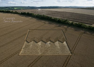 Devils Den near Fyfield, Wiltshire | 12th August 2012 | Wheat L