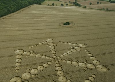Wappenbury near Royal Leamington Spa, Warwickshire | 15th August 2012 | Wheat L