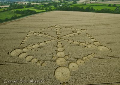 Wappenbury near Royal Leamington Spa, Warwickshire | 15th August 2012 | Wheat L4